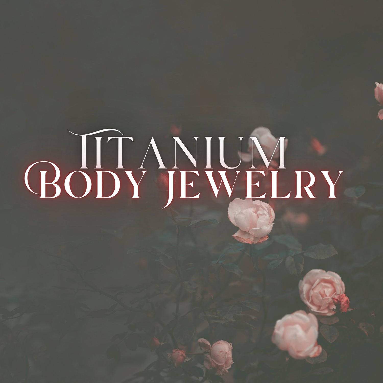 All Titanium Jewelry